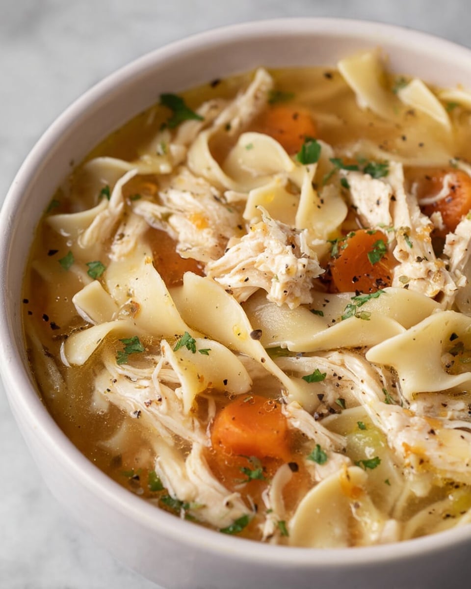Chicken Noodle Soup Crock Pot Recipe